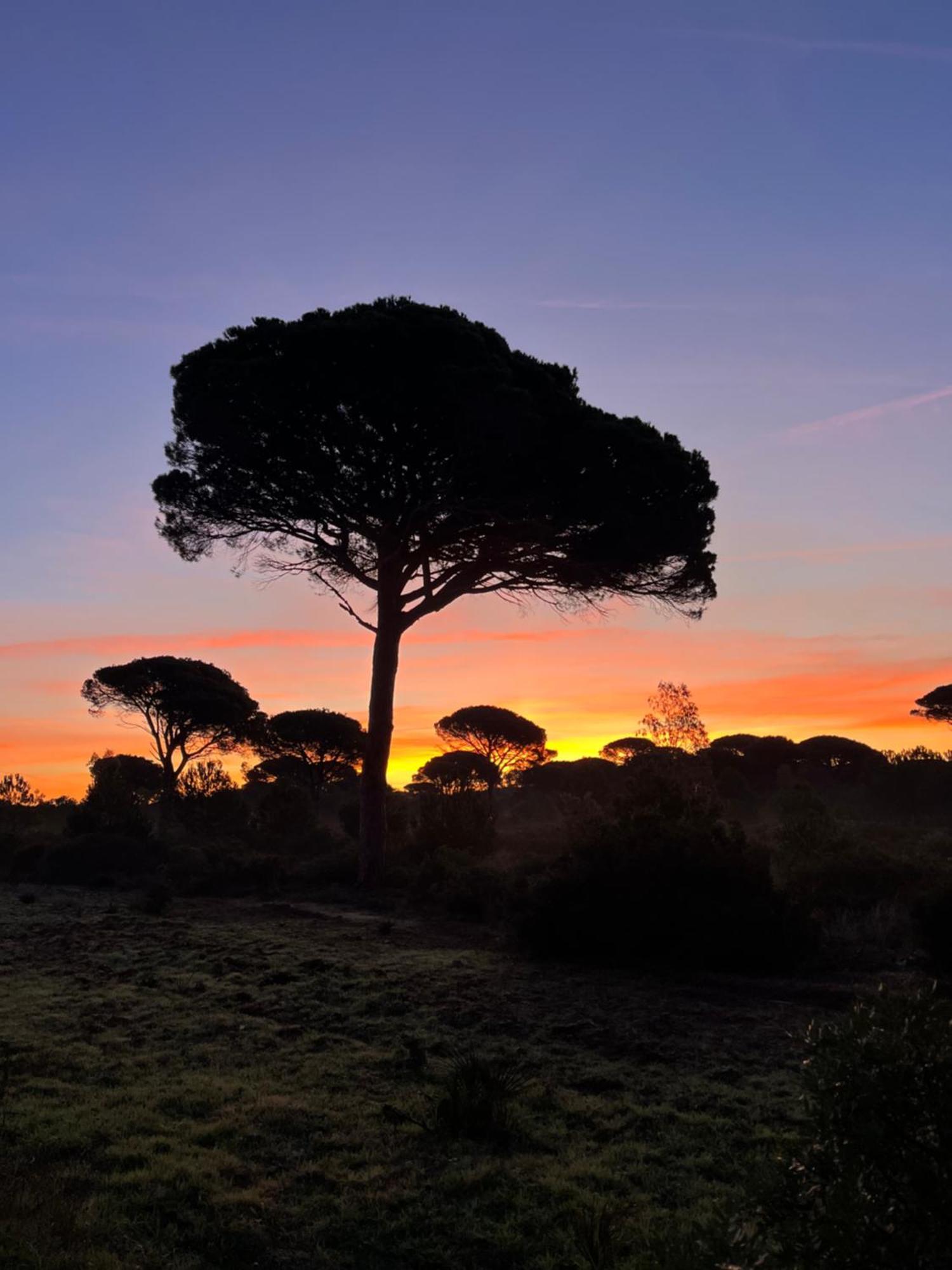 Los Candiles Conil De La Frontera Luaran gambar