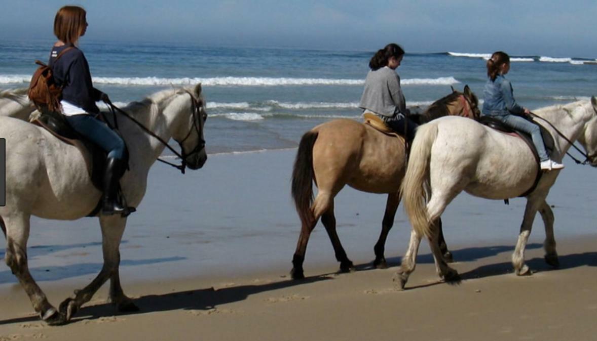 Los Candiles Conil De La Frontera Luaran gambar